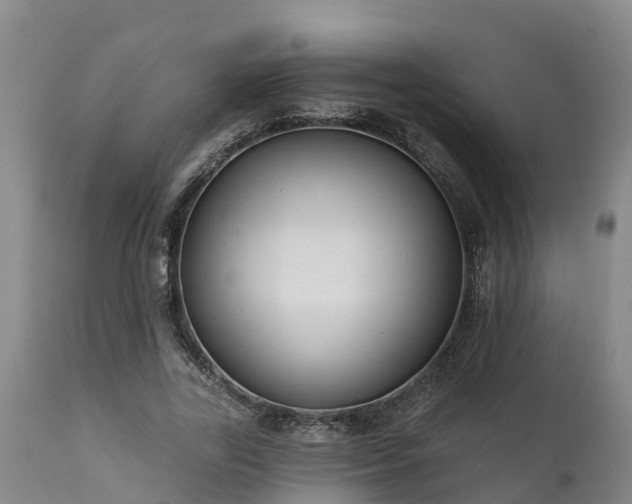 X0000111460731200907201112