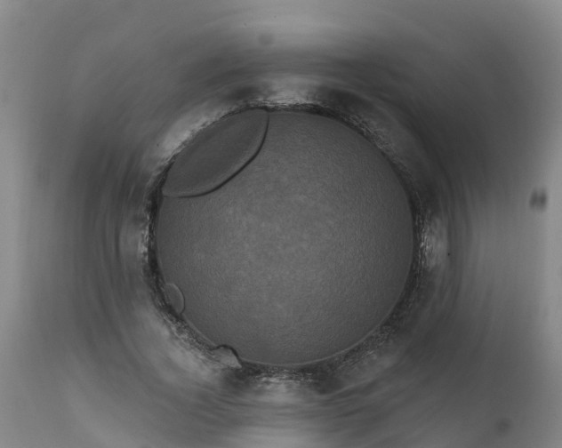 X0000111460732200907201113