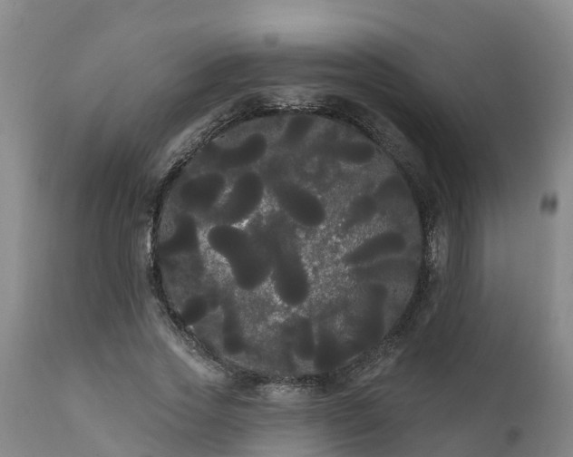 X0000111460733200907201113