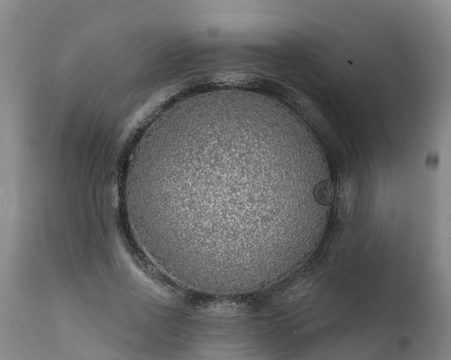 X0000111460734200907201113