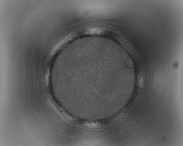 X0000111460735200907201113