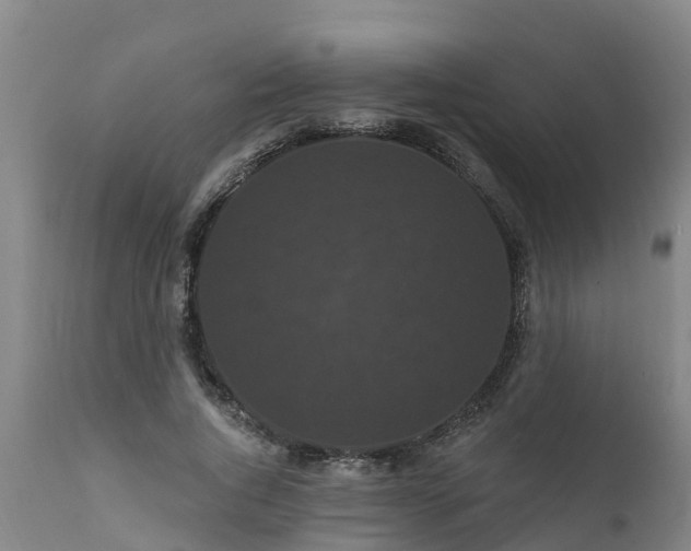 X0000111460736200907201113