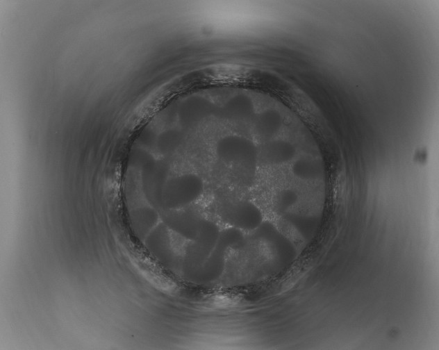 X0000111460737200907201113