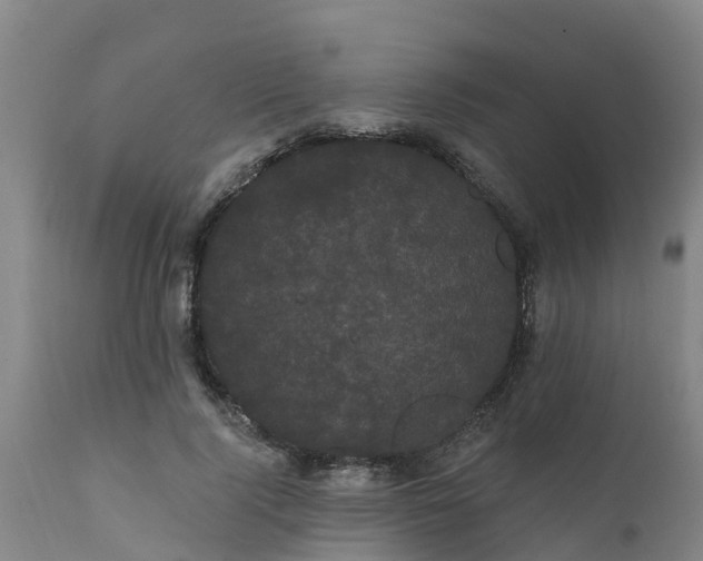 X0000111460740200907201113