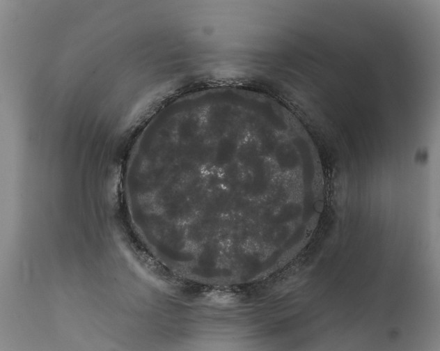 X0000111460742200907201113