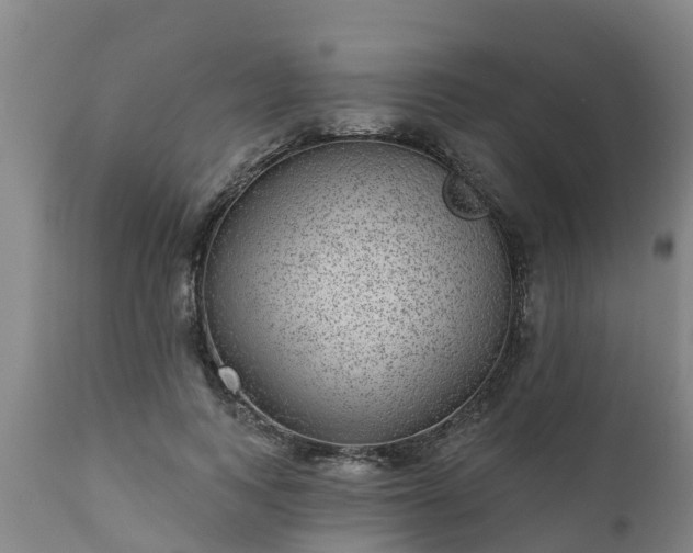 X0000111460743200907201113