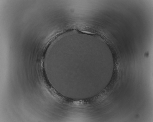 X0000111460744200907201113