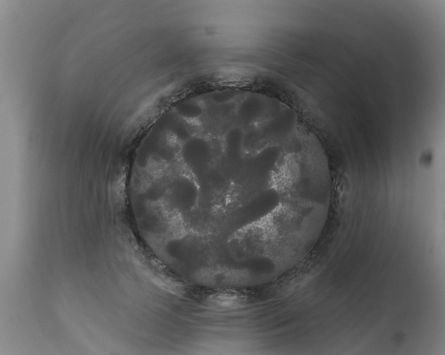 X0000111460745200907201113