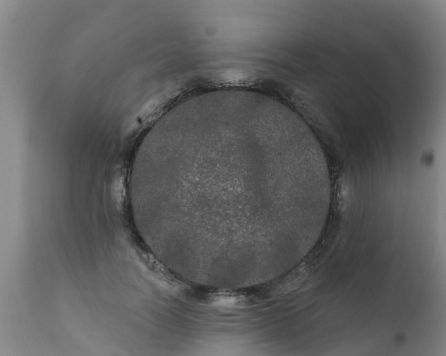 X0000111460746200907201113