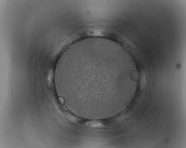 X0000111460747200907201113