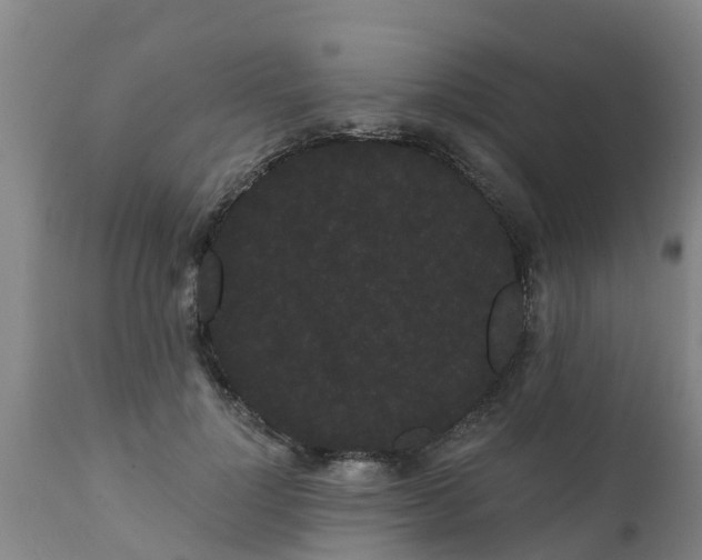 X0000111460748200907201113