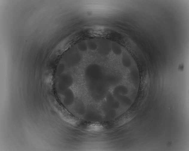 X0000111460749200907201113