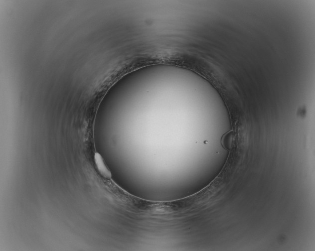 X0000111460750200907201113