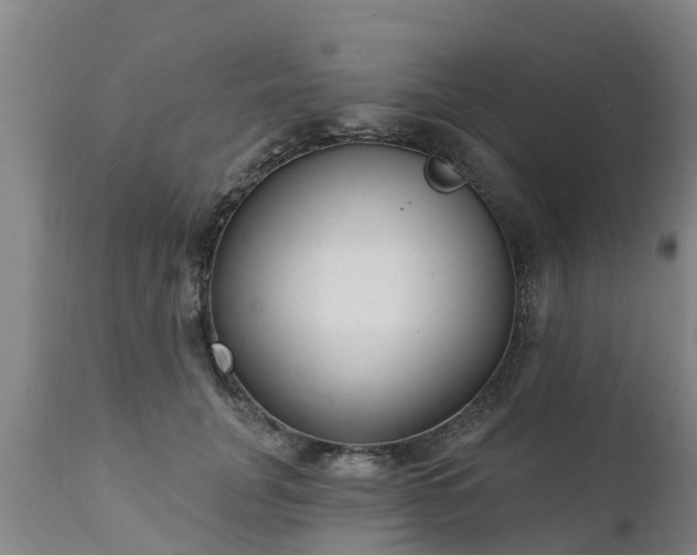 X0000111460751200907201113