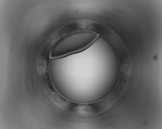 X0000111460752200907201113