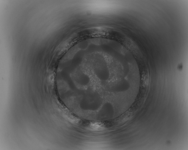 X0000111460753200907201113