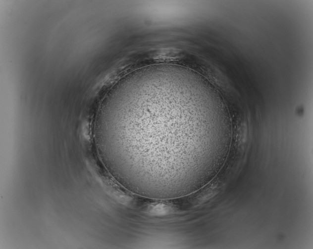 X0000111460755200907201113