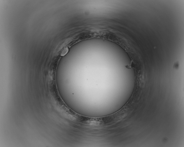 X0000111460756200907201113