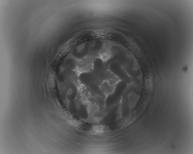 X0000111460757200907201113