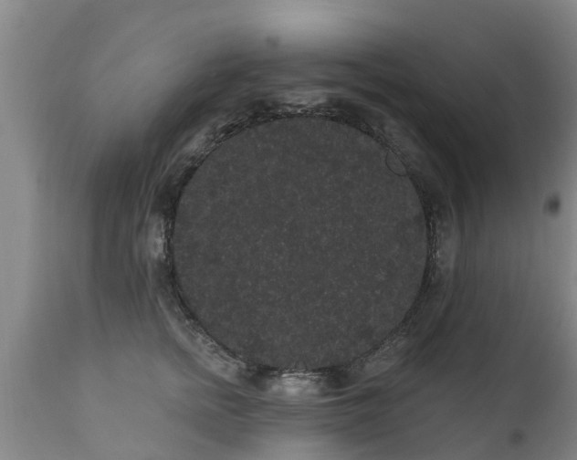 X0000111460758200907201113