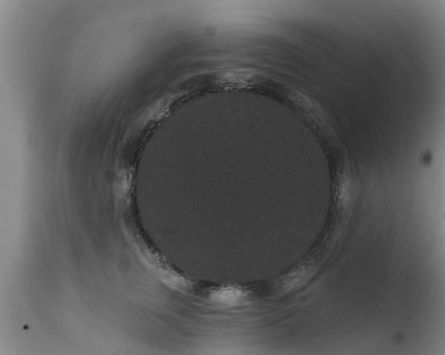 X0000111460759200907201113