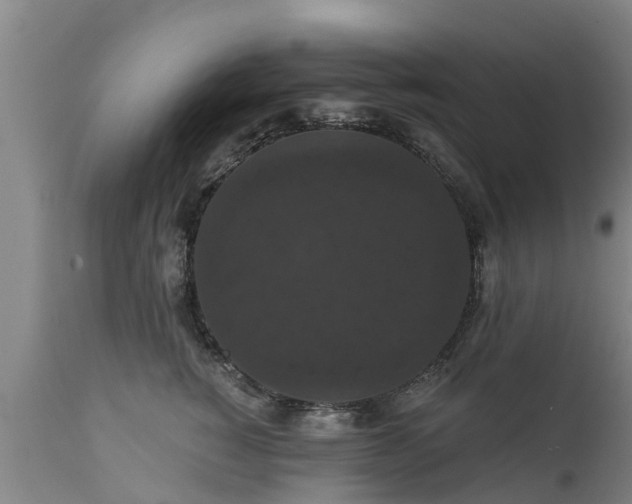 X0000111460760200907201113