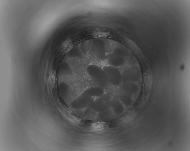 X0000111460761200907201113