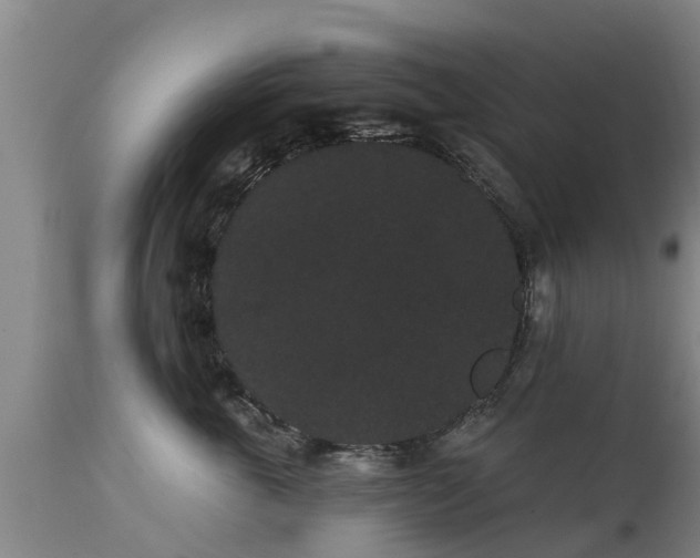 X0000111460763200907201113