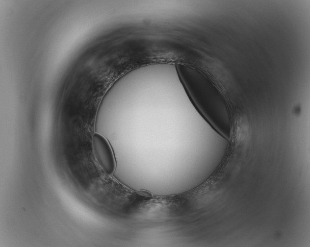 X0000111460764200907201113