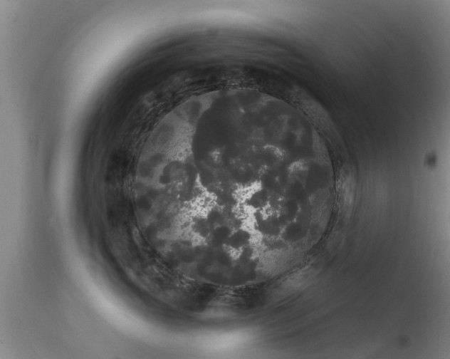 X0000111460765200907201113