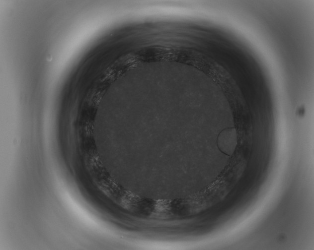 X0000111460766200907201113