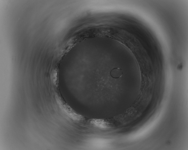 X0000111460767200907201113