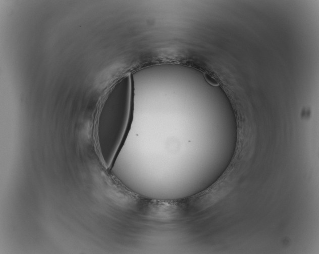 X0000111460768200907201113