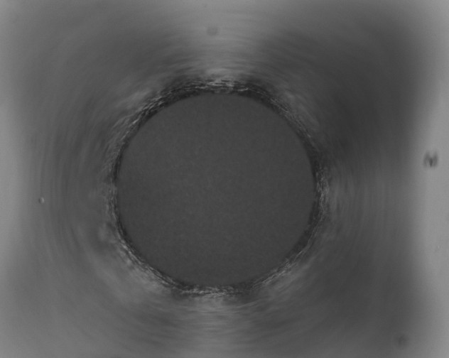 X0000111460769200907201112