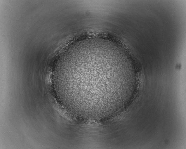 X0000111460770200907201112