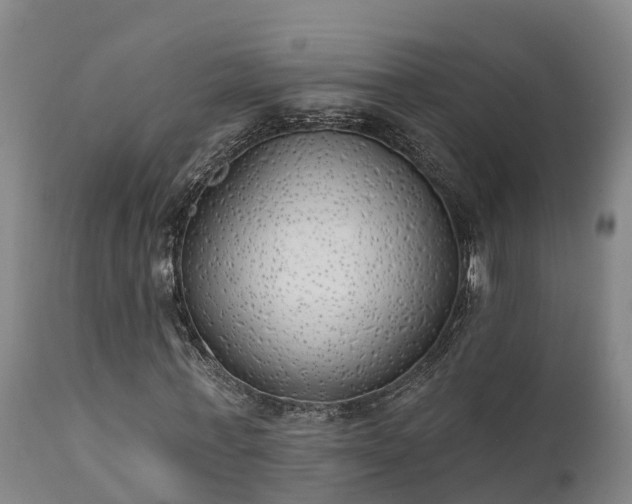 X0000111460771200907201112