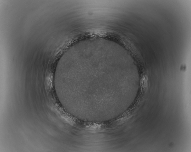 X0000111460772200907201112