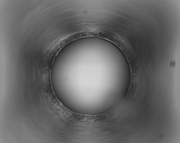 X0000111460773200907201112