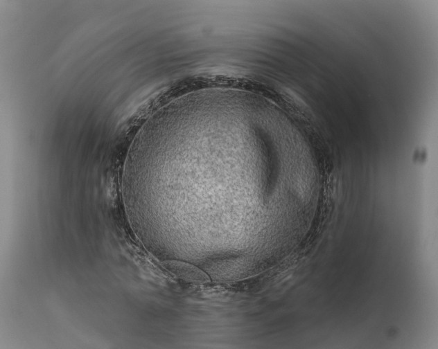 X0000111460774200907201112