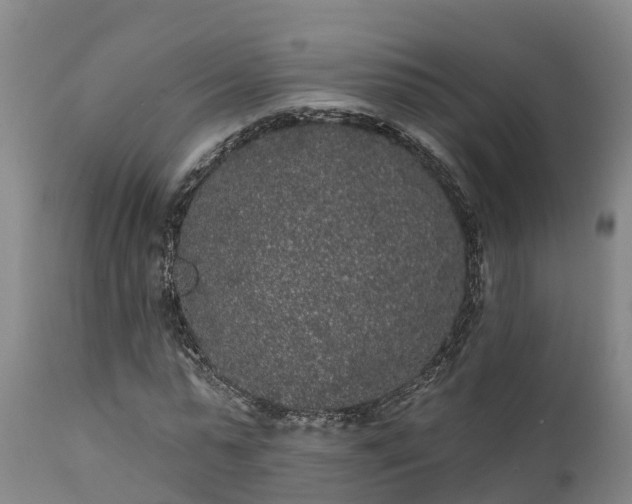 X0000111460775200907201112