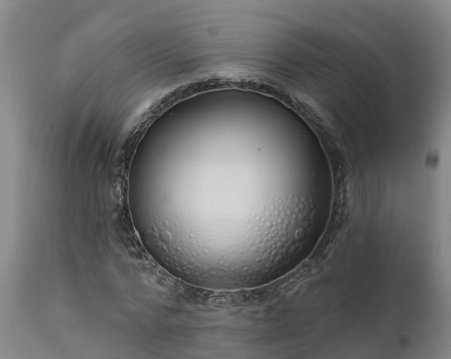 X0000111460776200907201112