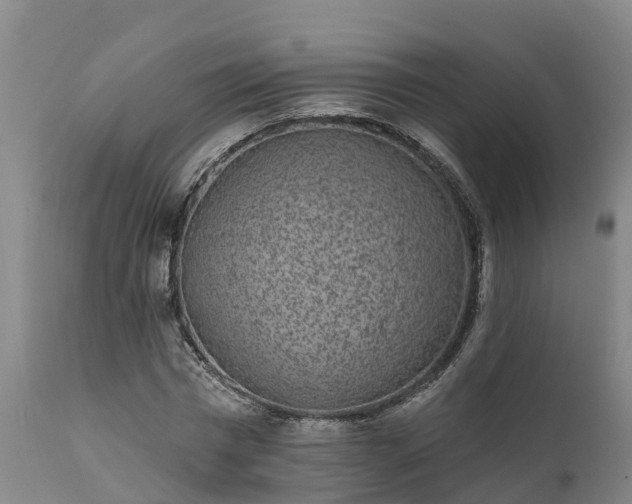 X0000111460777200907201112