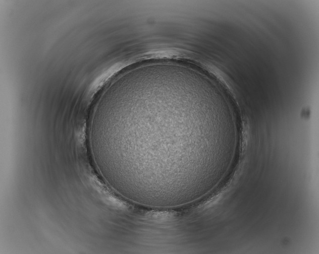 X0000111460778200907201112