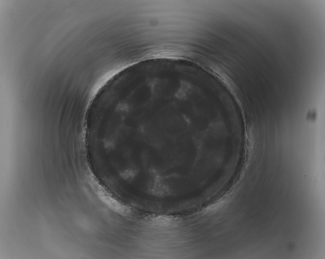 X0000111460779200907201112