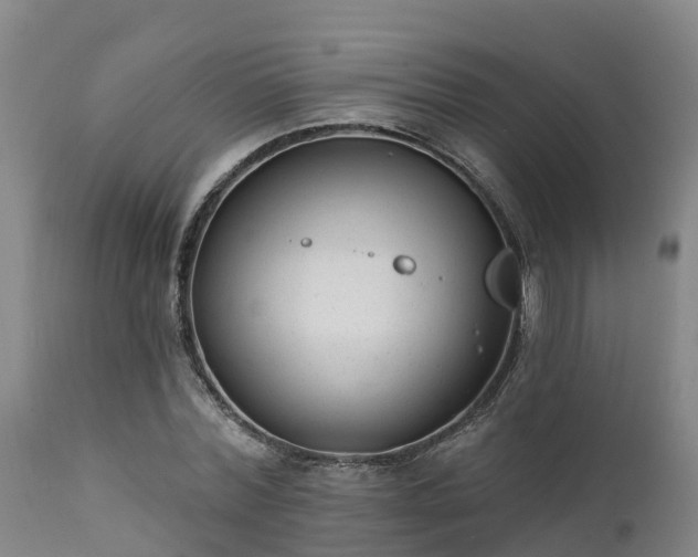 X0000111460780200907201112