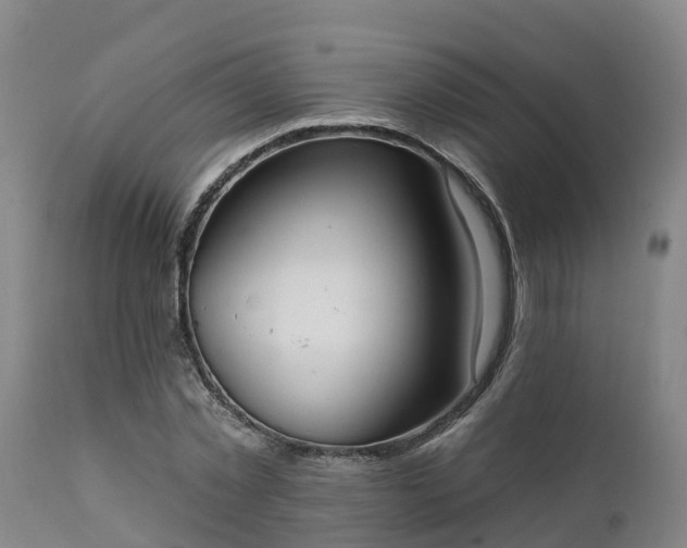 X0000111460781200907201112