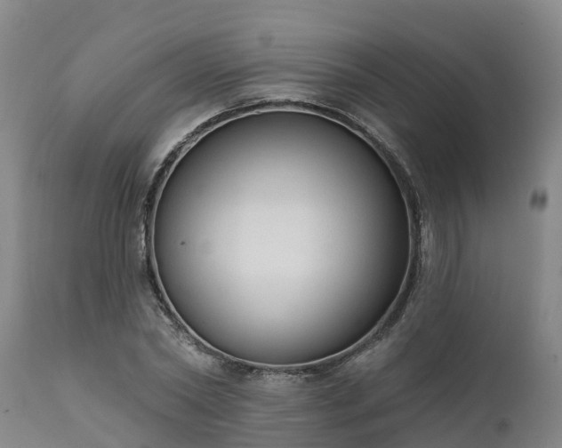 X0000111460782200907201112