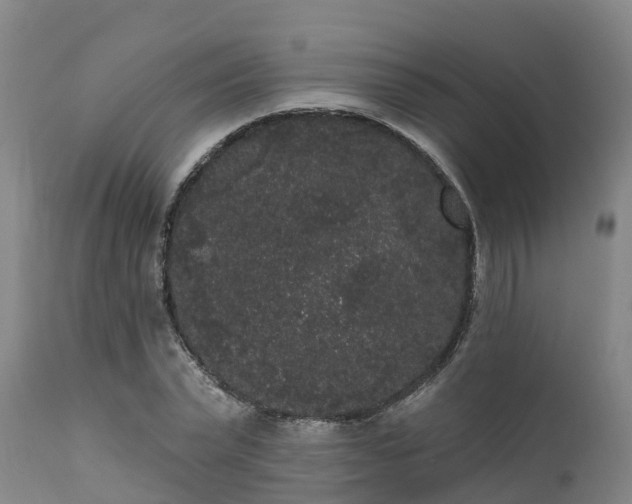 X0000111460783200907201112