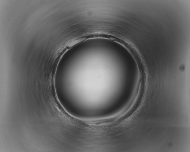 X0000111460785200907201112