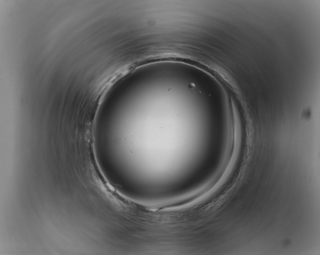 X0000111460793200907201112